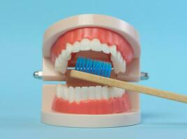 en bois brosse à dents et Plastique modèle de dentaire mâchoire avec blanc les dents sur une bleu arrière-plan, oral hygiène photo