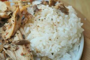 fermer de cuit blanc riz et poulet sur une assiette photo