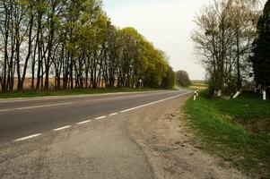 route tour avec des arbres à le la gauche côté photo