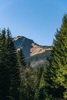 Montagne vue par le à feuilles persistantes forêt photo