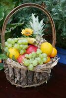 mixte des fruits dans une fruit panier photo