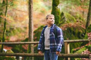 Extérieur portrait de content enfant garçon randonnée dans l'automne forêt, portant sac à dos photo