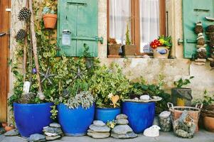 mis en pot vert les plantes dans de face de ville maison façade, vieux ancien décoration photo