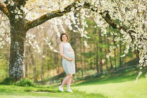 Extérieur maternité portrait de content Jeune Enceinte femme permanent suivant à épanouissement arbre, printemps photo