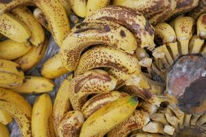 pourri banane avec une mûr bananes photo