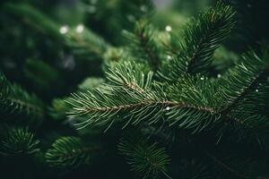 ai généré une proche en haut de une vert Noël arbre photo