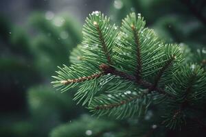 ai généré une proche en haut de une pin arbre branche avec pluie gouttes photo