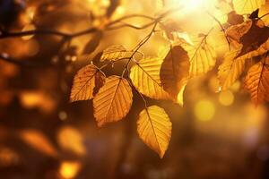 ai généré l'automne feuilles sur une arbre branche avec lumière du soleil brillant par photo