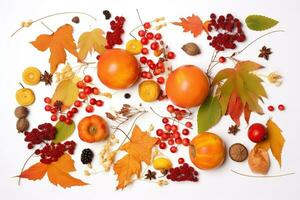 ai généré l'automne des fruits et des légumes arrangé dans une cercle sur une blanc Contexte photo