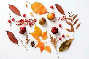 ai généré l'automne feuilles et baies arrangé dans une cercle sur une blanc Contexte photo