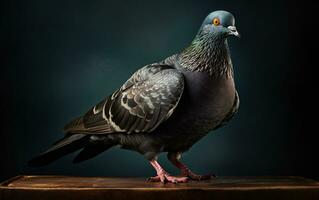 ai génératif Pigeon oiseau réaliste la photographie photo