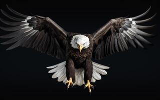 ai génératif chauve Aigle oiseau la photographie photo