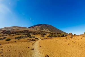 Parc national du Teide, Tenerife, Canaries, Espagne photo