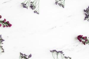 Noël composition. sapin arbre branches, rouge décorations sur gris arrière-plan, fleurs composition. blanc et violet fleurs sur marbre arrière-plan, eucalyptus feuilles, hiver, Haut voir. Noël cadeau. photo