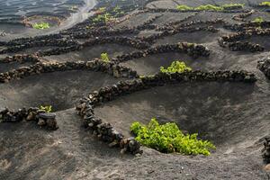 la géria dans lanzarote photo