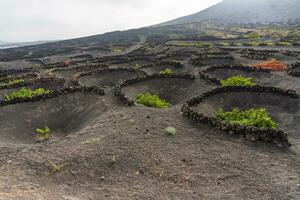 la géria dans lanzarote photo