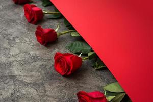 roses sur fond gris foncé et rouge, saint valentin. photo