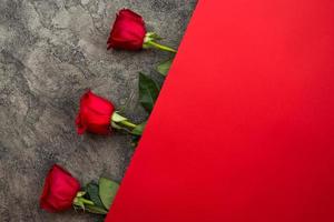 les roses rouges reposent magnifiquement sur un fond gris et rouge. photo