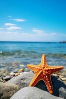 ai généré voyage, été vacances. étoile de mer sur le sablonneux plage. vacances dans le Maldives photo