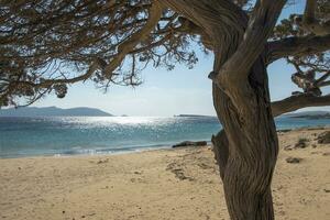 magnifique plage sur le île de Koufonissia dans Grèce photo