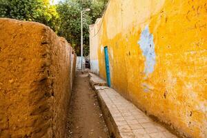 coloré extérieur mur de une nubien maison dans Egypte. typique africain village Maisons façade. médiéval rue. photo