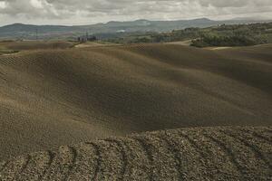 récolté des champs et prés paysage dans toscane, Italie. ondulé pays paysage à l'automne le coucher du soleil. arable terre prêt pour le agricole saison. photo