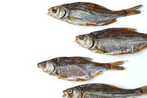 séché ou saccadé salé gardon, acceptable poisson clip isolé sur blanc Contexte. salé Bière apéritif. traditionnel façon de conservation poisson. proche en haut photo