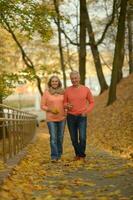 personnes âgées couple Danse dans le parc dans l'automne. photo