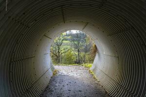 cette photo spectacles une tunnel à le Les agriculteurs village