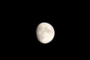 plein lune brillant dans le tomber ciel dans pensacola Floride, uni États octobre 23 2023 photo