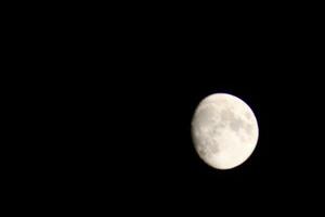 plein lune brillant dans le tomber ciel dans pensacola Floride, uni États octobre 23 2023 photo