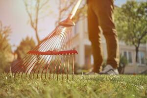 inconnue Jeune homme dans décontractée vêtements est en utilisant rouge jardin râteau sur une pelouse de le sien cour. utile outil de moderne jardinier. ensoleillé journée. proche en haut photo