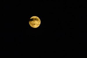 pleine lune, lune jaune photo