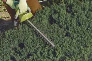 mains de inconnue jardinier dans coloré gants sont garniture le trop développé vert arbuste avec électrique haie tondeuse sur ensoleillé cour. proche en haut photo
