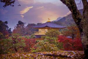 kinkaku-ji temple ,temple de le d'or pavillon Kyoto Japon un de plus populaire en voyageant destination photo