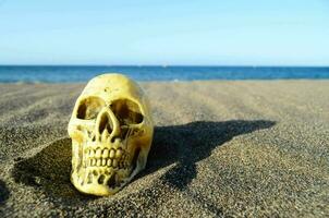 une crâne sur le plage avec le océan dans le Contexte photo
