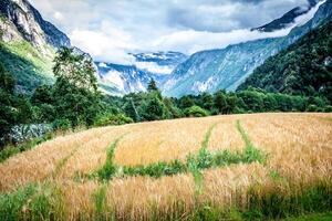 magnifique vallée, troll itinéraire, Norvège photo