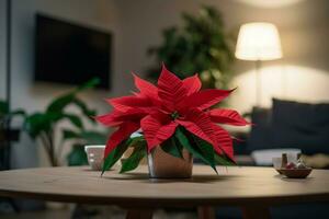 étoile Bethléem poinsettia sur en bois tableau. produire ai photo