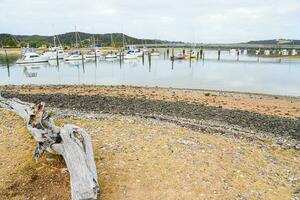 vue à le jetée et bateaux, baie de îles dans Nouveau zélande photo