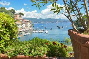 vue à le plus grandiose palais un bâtiments à le plus modeste appartements, Portofino, Italie photo