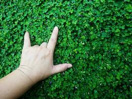 Humain main et pied signe sur vert herbe Contexte quatre feuille couverture photo