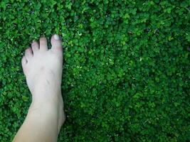 Humain main et pied signe sur vert herbe Contexte quatre feuille couverture photo