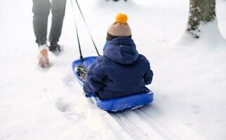 papa prend le sien fils sur une traîneau par le neige dans le parc. photo