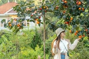 Jeune femme voyageur profiter avec kaki jardin Contexte dans Dalât, vietnam photo