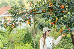 Jeune femme voyageur profiter avec kaki jardin Contexte dans Dalât, vietnam photo