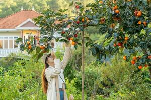 Jeune femme voyageur profiter avec kaki jardin Contexte dans Dalât, vietnam photo