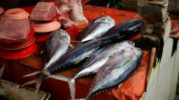 Frais Fruit de mer sur le poisson marché photo
