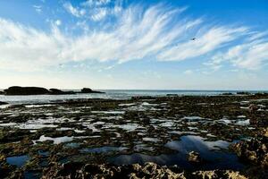 une rocheux rive avec algue et rochers en dessous de une bleu ciel photo