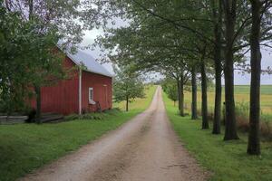 rouge cabanon sur arbre route dans le Midwest photo