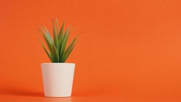 cactus artificiels ou arbre en plastique ou faux sur fond orange. photo
